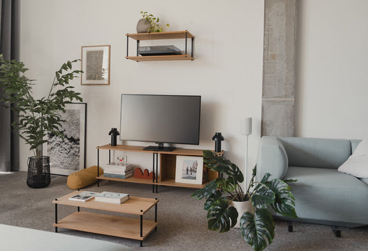 Mounting a Shelf: Wall Types, Anchors, and the Rental Question