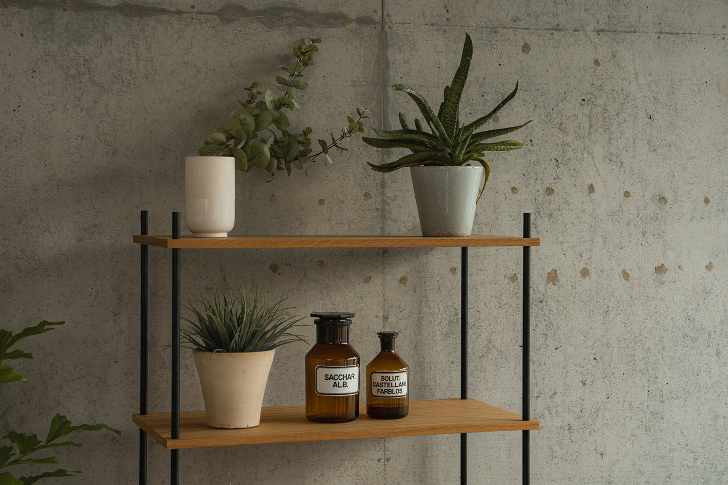 Modern Indoor Plant Shelf & Flower Stand - KUUDU Modular Furniture System - Oak